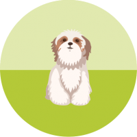 Adopciones y Ventas de Animales